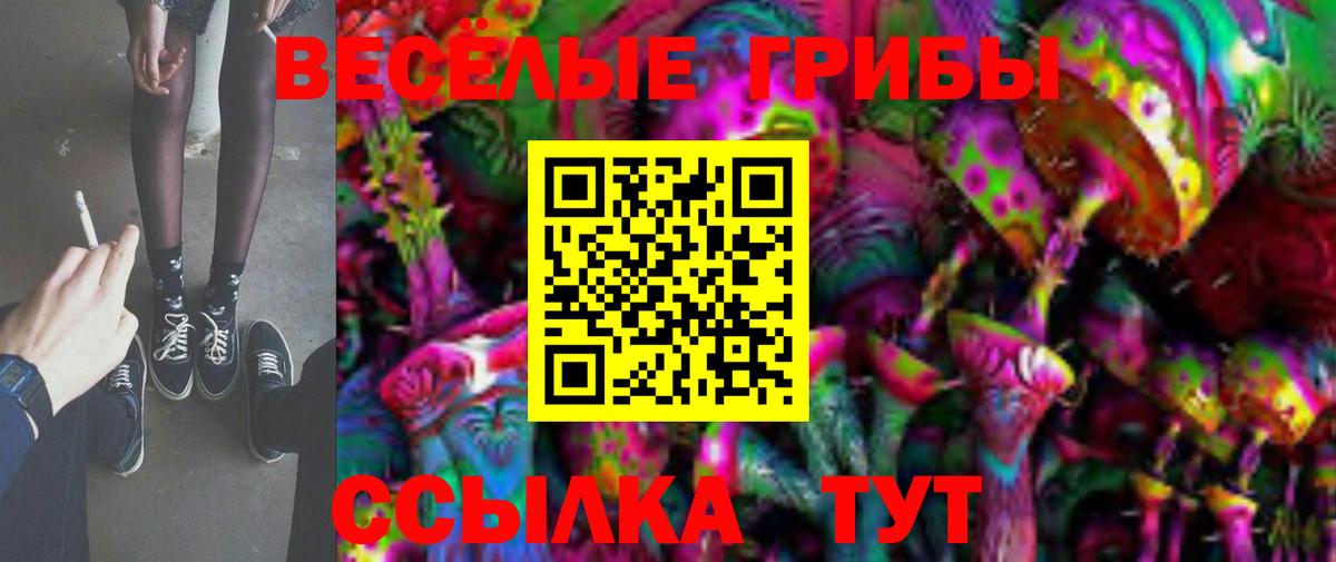 Галлюциногенные грибы мицелий  Вход с VPN  Самара  Псилоцибиновые грибы прущие грибы 